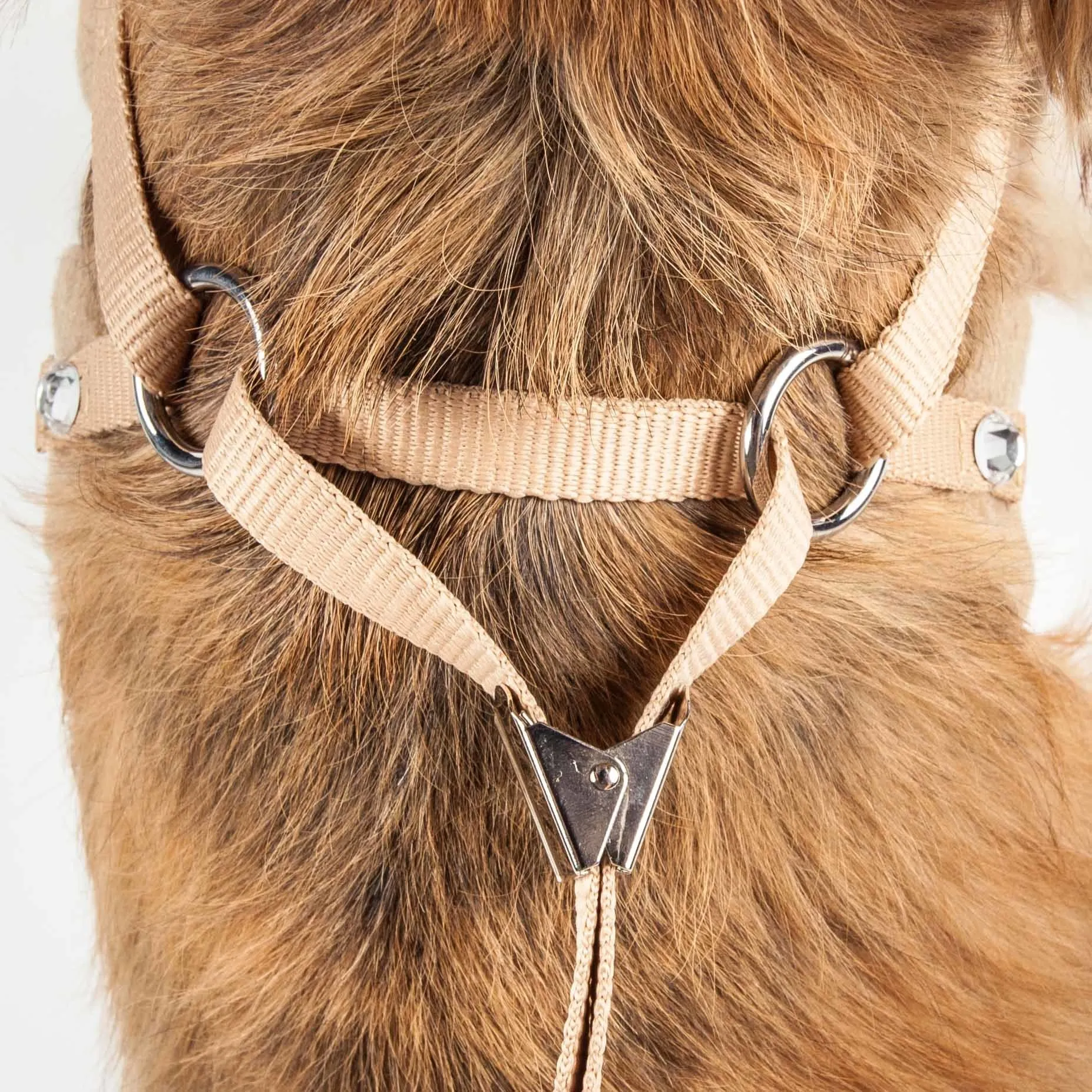 Adjustable Dog Harness with Removable Fur Collar Straps