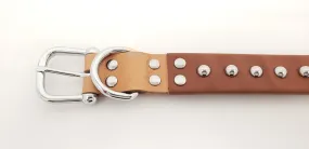 Brown Leather Dog Collar with Single Line of Silver Chrome Buttons - Tan - Medium