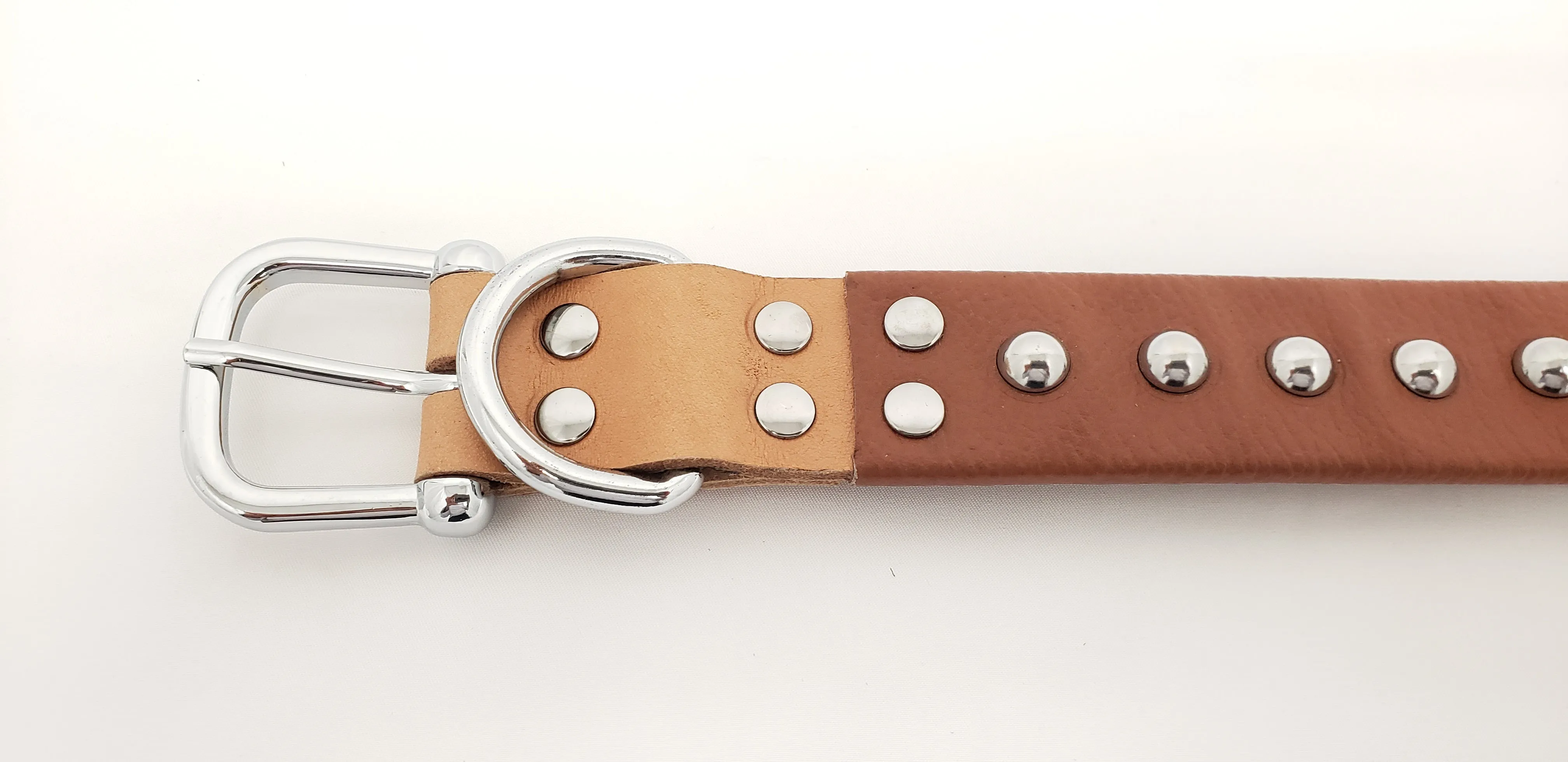 Brown Leather Dog Collar with Single Line of Silver Chrome Buttons - Tan - Medium