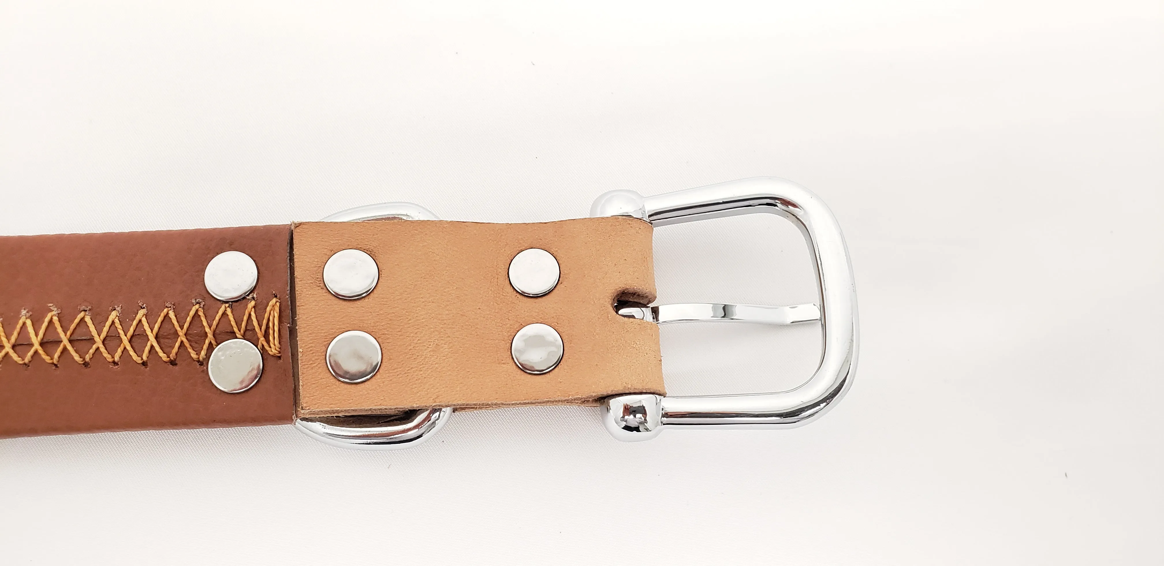 Brown Leather Dog Collar with Single Line of Silver Chrome Buttons - Tan - Medium