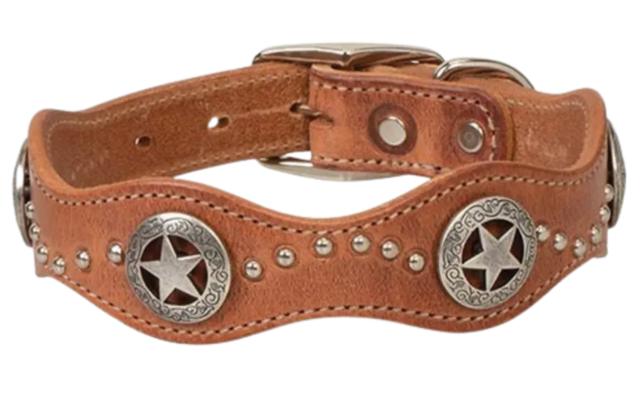 Dog Star Harness Leather Dog Collar