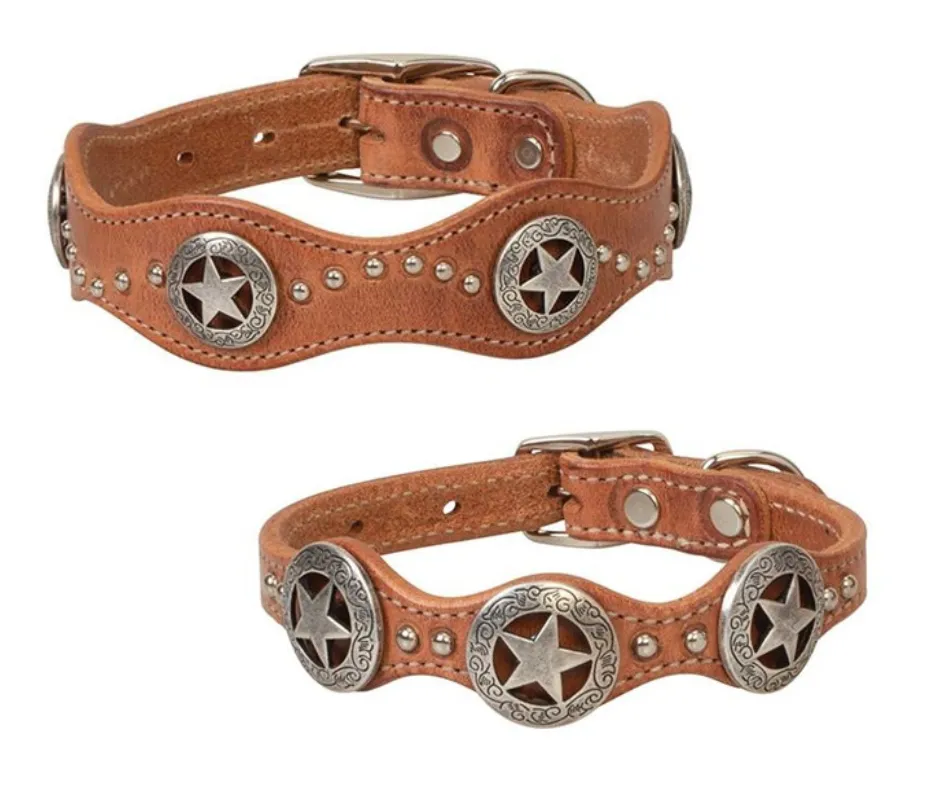 Dog Star Harness Leather Dog Collar