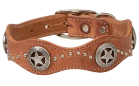 Dog Star Harness Leather Dog Collar