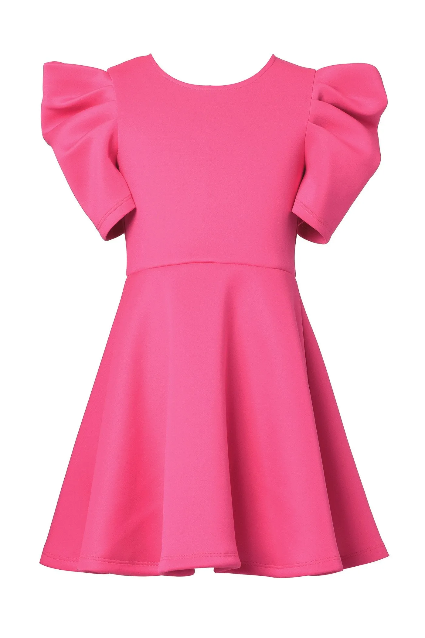 Little Girl's Dramatic Ruched Sleeve Skater Dress