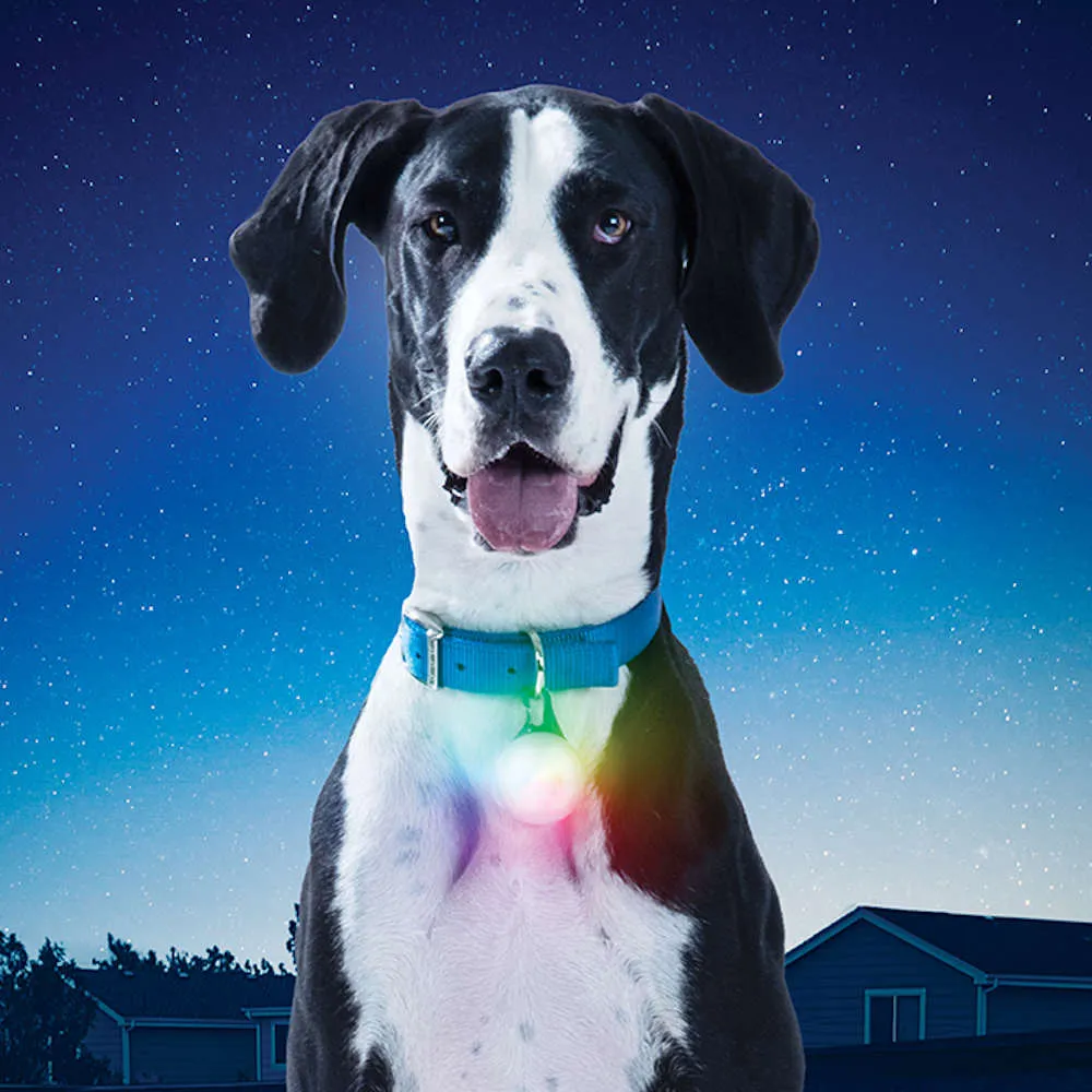 Nite Ize SpotLit Disc-O Rechargeable LED Collar Light XL