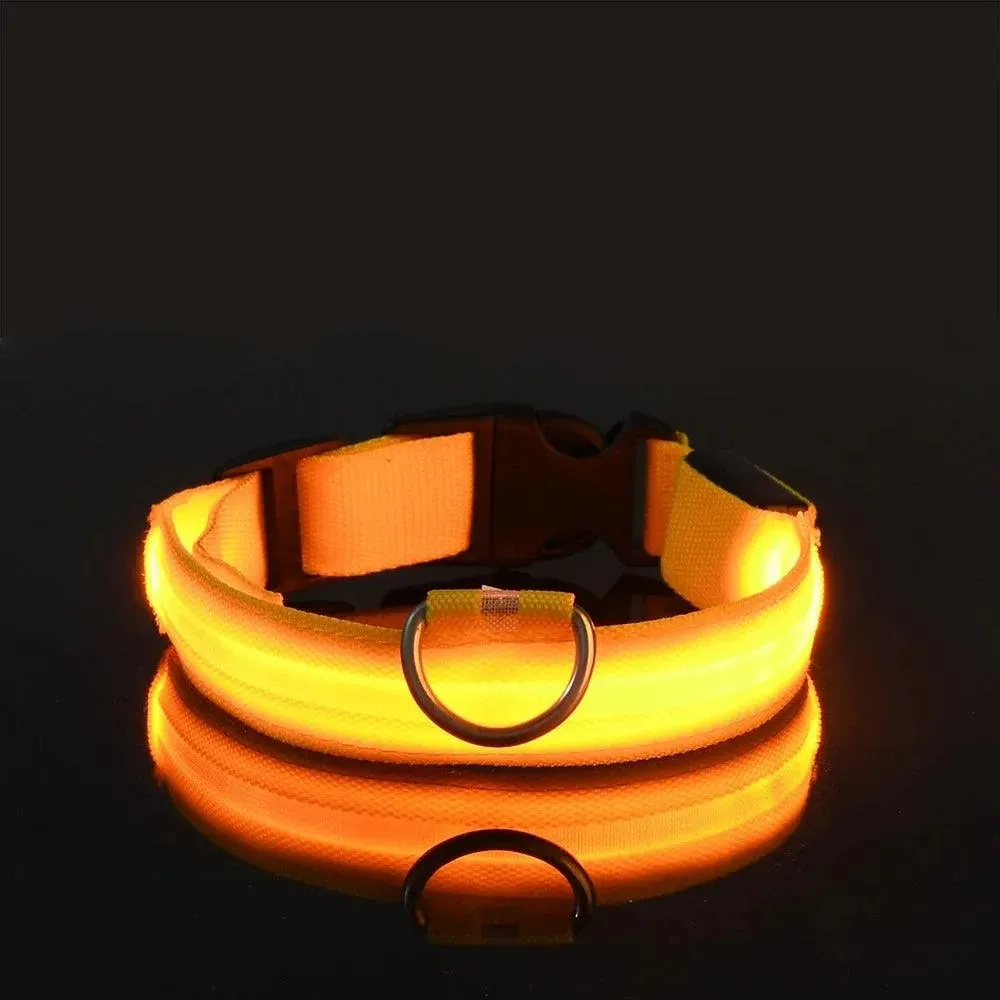 Nylon LED Dog Collar