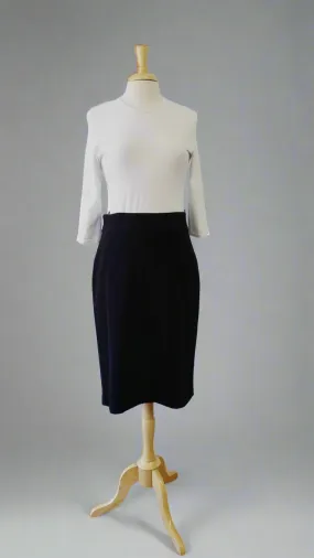 Paniz  Pencil Skirt