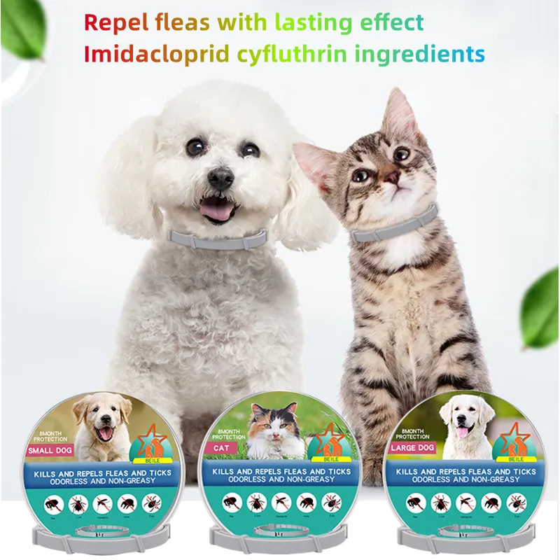 Pat and Pet Emporium | Pet Collars | Dog Cat Anti-Flea Collars