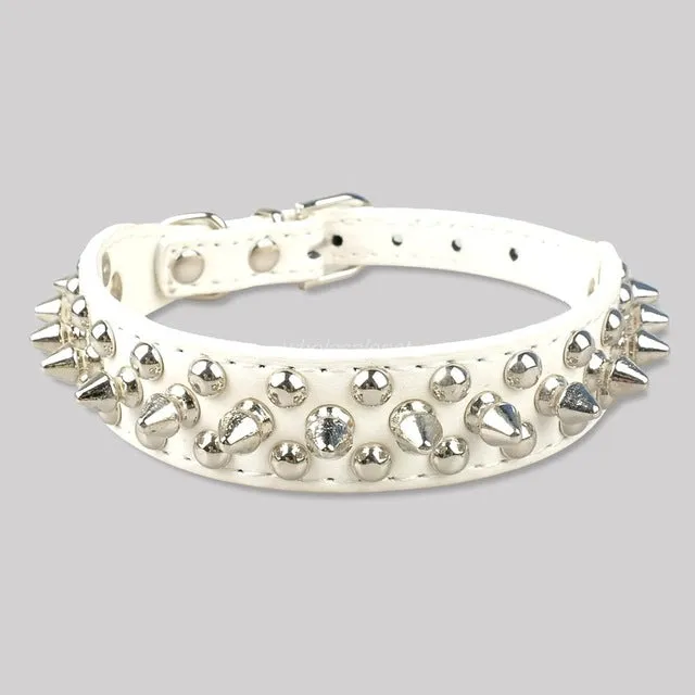 Studded Collar